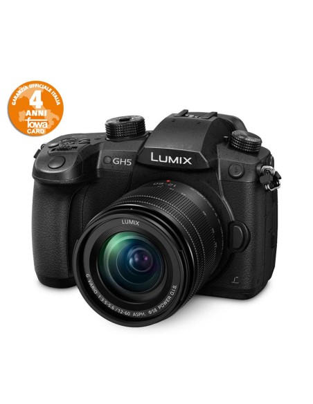 Panasonic Lumix GH5 M2 + Leica DG Vario-Elmarit 12-60mm f/2.8-4 Power O.I.S.