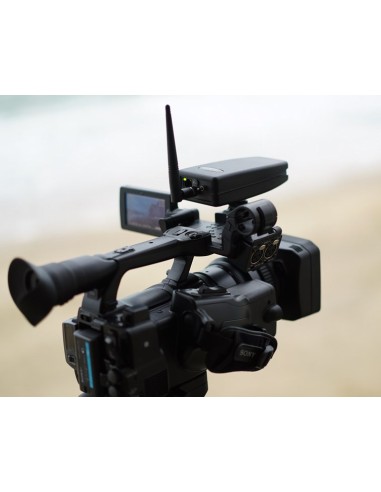 Tally Technologies WIRELESS PRO BUNDLE