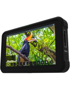 Atomos Shinobi 5.2" 4K HDMI Monitor HDR da 1000nit