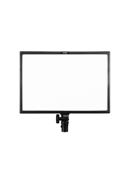 Ledgo E268CII Bi-color (high output)