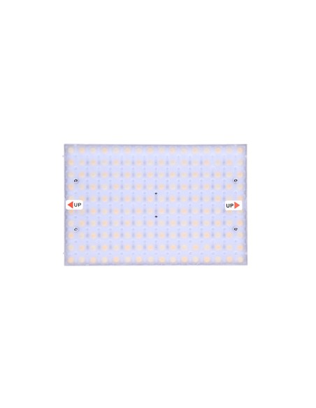 Ledgo B160CII Bi-color