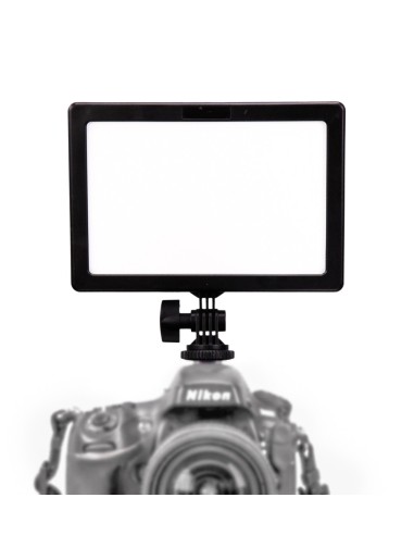 Ledgo E116CII Bi-color (high output)