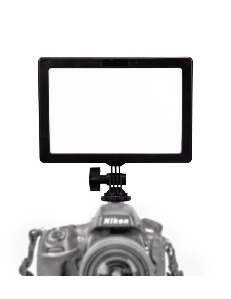 Ledgo E116CII Bi-color (high output)