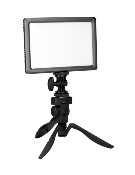 Ledgo E116CII Bi-color (high output)