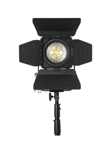 Ledgo D1200 bi-color fresnel w/ DMX (D120M)