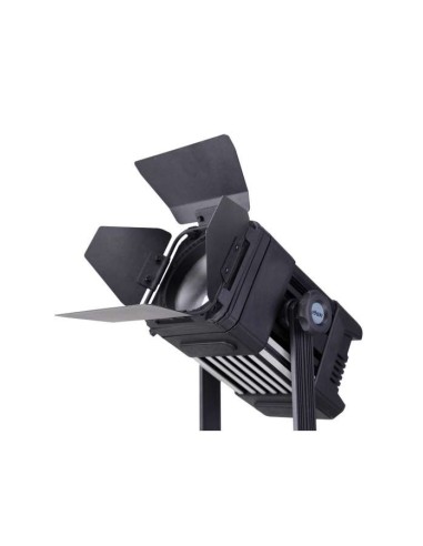 Ledgo D300C bi-color fresnel (D30)