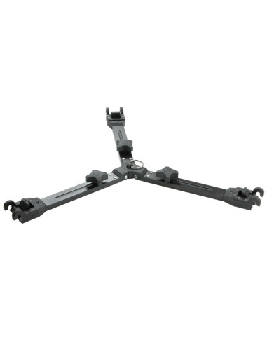 Cartoni Stella mediana S731/QR