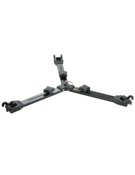 Cartoni Stella mediana S731/QR