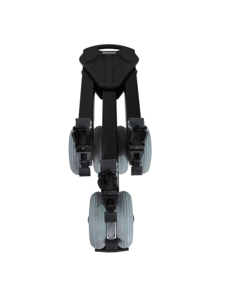 Cartoni D736/P
