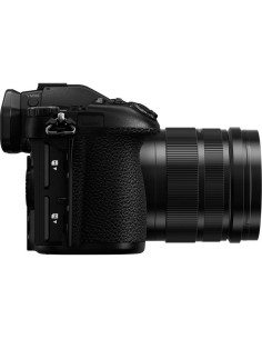 Panasonic Lumix G9 + 12-60mm f/3.5-5.6 ASPH G Vario 2