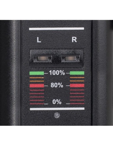 Swit S-3822S 2-Channel Simultaneous Charger