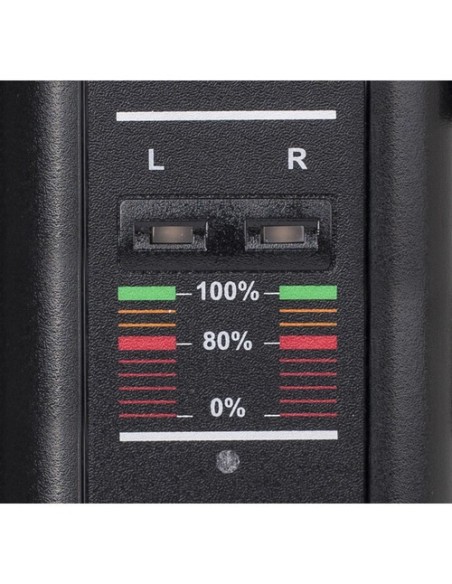 Swit S-3822S 2-Channel Simultaneous Charger