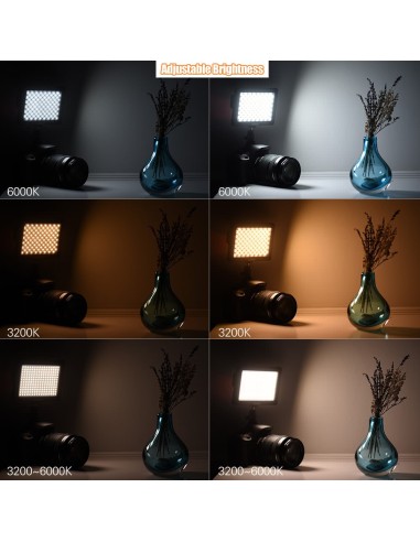 DigitalFoto Solution Limited Studio Photography...