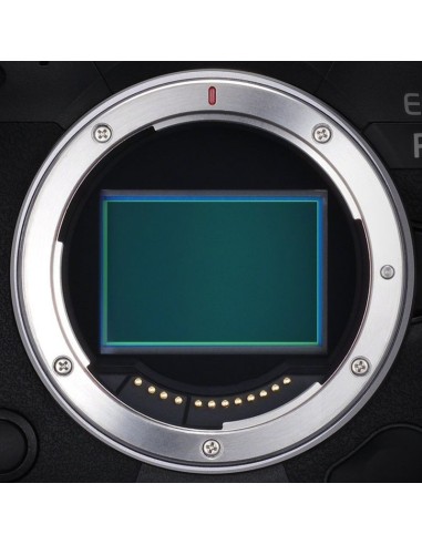 Canon EOS R5 Mirrorless Digital Camera (Body Only)