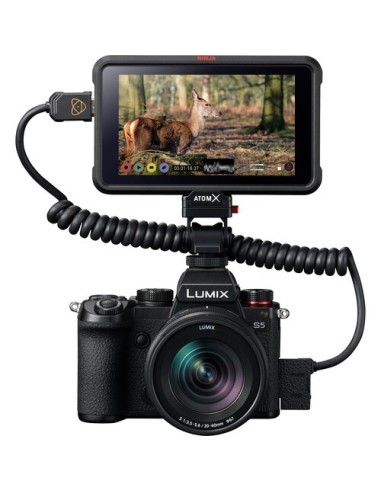 Panasonic Lumix S5 4K/24.2MP Full-Frame...