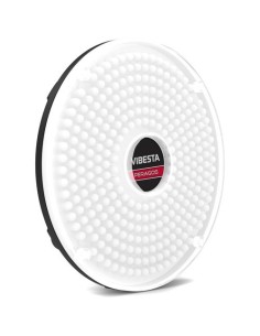 Vibesta Peragos Disk 304P Power Daylight LED light