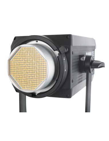 Nanlite FS-300 AC LED Monolight