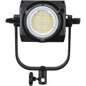 Nanlite FS-200 Luce Led Spot Daylight 240W 5600K