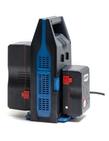 BLUESHAPE CVTR2P Dual V-Mount 6A Travel Charger...