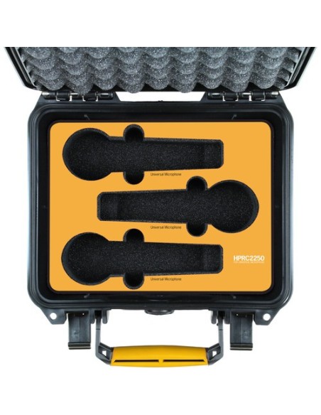 HPRC MCF6-2250-01 HPRC2250 per 6 Microfoni Universali HPRC MCF6-2250-01 HPRC2250 per 6 Microfoni Universali