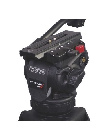 Cartoni FOCUS 8 KF08-3CS Kit 3 stadi carbonio