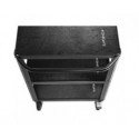 ConeCarts Carrello Large-basic-3 ripiani con moquette nera ConeCarts Carrello Large-basic-3 ripiani con moquette nera