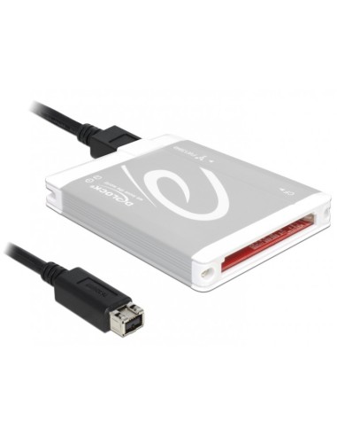 DELOCK Card Reader per schede Compact Flash - FireWire 800
