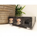 Hypex UcD400HG amplificatore da 2x 200 watt con ingressi XLR Hypex UcD400HG amplificatore da 2x 200 watt con ingressi XLR