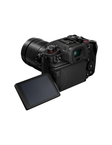 Panasonic Lumix GH6 + Leica DG Vario-Elmarit 12-60mm f/2.8-4 Power O.I.S.