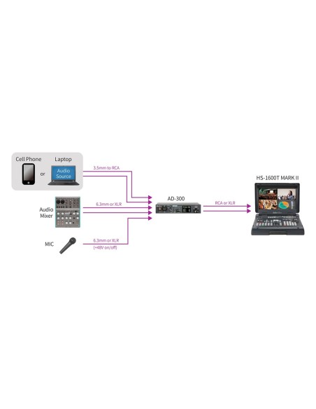 Datavideo AD-300 Pro Audio Delay Box