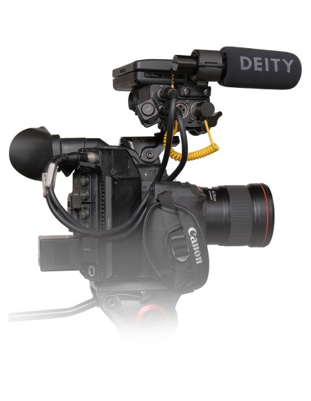 Deity Microphones V-Link 3.5mm TRS Male to XLR 3-Pin Male Microphone Adapter Cable (12")