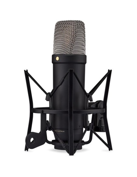 Rode NT1 5th Generation Microfono a condensazione da studio (Silver) Rode NT1 5th Generation Microfono a condensazione da studio (Silver)