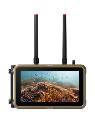 Atomos Ninja 5.2" 4K HDMI Recording Monitor
