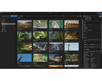 Grass Valley EDIUS Pro v7 EDU int. Win