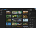 Grass Valley EDIUS Pro v7 EDU int. Win