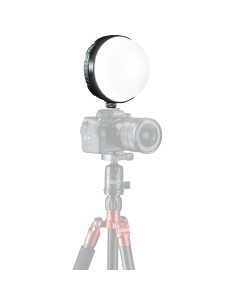 Rotolight NEO 3 On-Camera RGBWW LED Light Ultimate Bundle 2