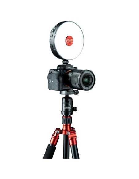 Rotolight NEO 3 On-Camera RGBWW LED Light Ultimate Bundle