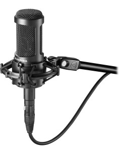Audio-Technica AT2050 Microfono a condensatore...