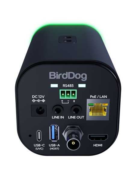 BirdDog MAKI Ultra 4K Box Camera con 20x Zoom (Nera)