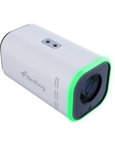 BirdDog MAKI Ultra 4K Box Camera con 20x Zoom...