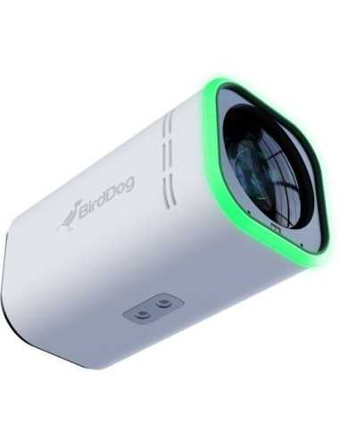 BirdDog MAKI Ultra 4K Box Camera con 12x Zoom...