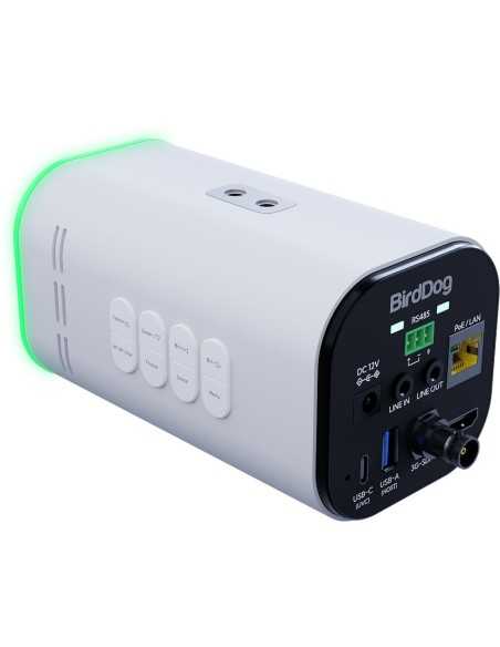 BirdDog MAKI Ultra 4K Box Camera con 12x Zoom (Bianca)