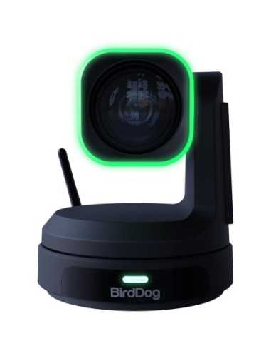 BirdDog X1 PTZ Camera with 20x Zoom (Black)