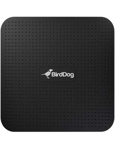 BirdDog PLAY 4K NDI Player