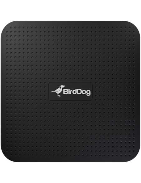 BirdDog PLAY 4K NDI Player