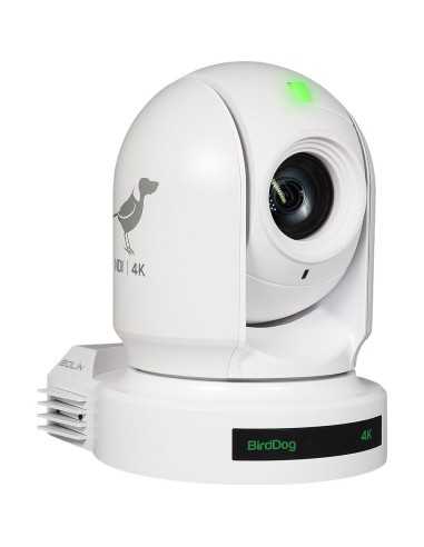 BirdDog EYES P400 4K 10-Bit Full NDI PTZ...