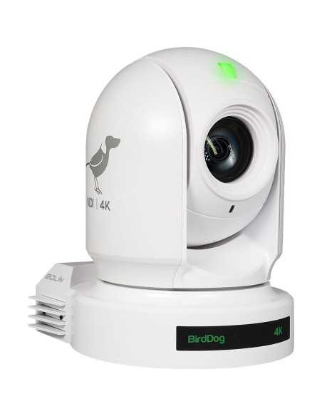 BirdDog EYES P400 4K 10-Bit Full NDI PTZ Telecamera con sensore Sony