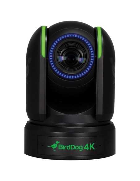BirdDog P4K 4K Full NDI PTZ Camera con Sensore da 1" Sony (Black)