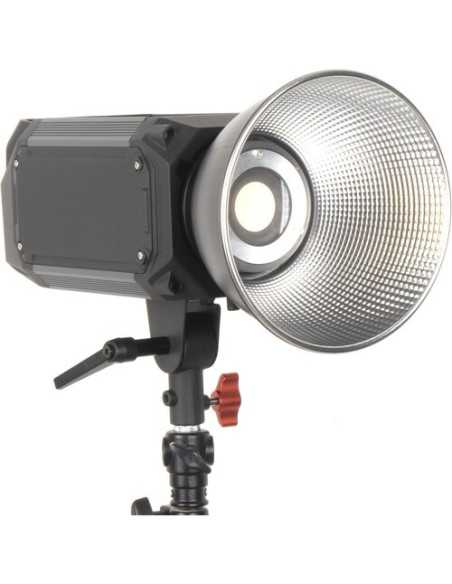 CAME-TV TIOGA Series 3100W High Output LED Spotlight Bi-color