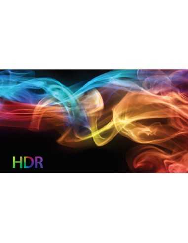 AJA FS-HDR HDR/WCG Converter / Frame Synchronizer
